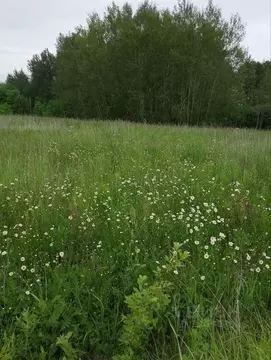 Участок в Московская область, Раменский муниципальный округ, ...