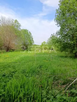 Дом в Владимирская область, Александровский муниципальный округ, ...