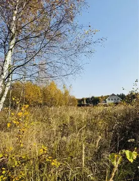 Продается участок в КП Зеленая Опушка-2