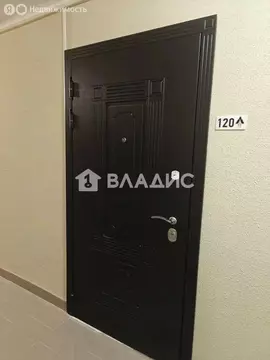 Квартира-студия: посёлок Шушары, Московское шоссе, 262к1 (23 м)