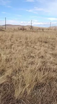 Участок в Хакасия, Усть-Абакан рп ул. Октябрьская (10.0 сот.)