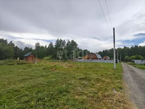 Участок в Новосибирская область, Новосибирский район, Станционный ...