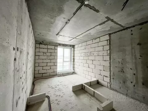 Студия Москва Автомобильный проезд, 4 (22.4 м)