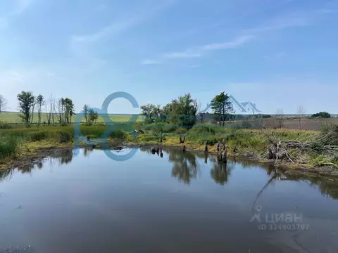 Участок в Саратовская область, Новобурасский район, Тепловское ...