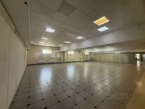 Торговая площадь в Новосибирская область, Новосибирск ул. Писарева, 60 ...