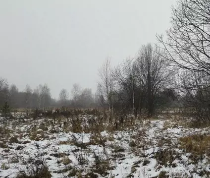 Участок в Московская область, Дмитровский муниципальный округ, д. ...