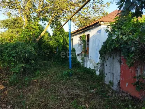 Участок в Белгородская область, Волоконовский район, Пятницкое рп ...