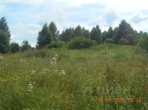 Участок в Московская область, Шаховская муниципальный округ, д. ...