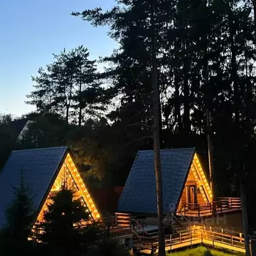 Дом в Ленинградская область, Тосненский район, Шапкинское с/пос, пос. ...