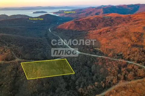 Участок в Приморский край, Хасанский муниципальный округ, с. Рисовая ...