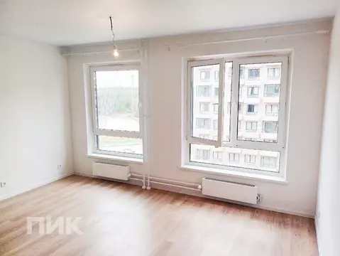 Студия Ленинградская область, Всеволожский район, Заневское городское ...