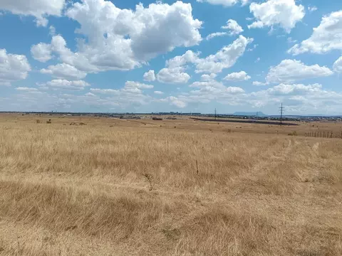 Участок в Крым, Симферопольский район, с. Мирное  (6.0 сот.)