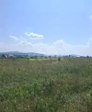 Участок в Алтай, Майминский район, с. Подгорное ул. Катунская (10.0 ...