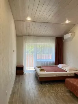 Студия Краснодарский край, Туапсе ул. Тургенева, 27 (28.0 м)