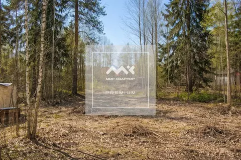 Участок в Ленинградская область, Всеволожск Пушкинская ул., 124 (20.2 ...