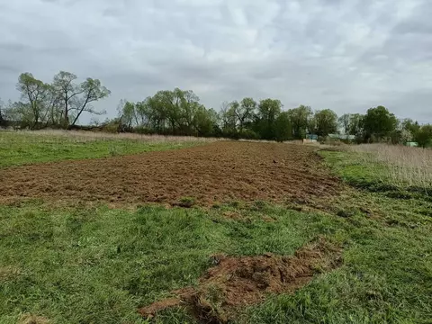 Участок в Калужская область, Жуковский район, Трубино с/пос, д. ...
