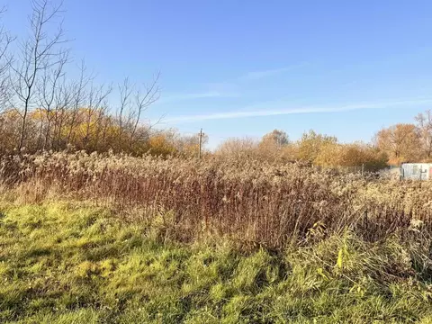 Участок в Калининградская область, Гурьевский муниципальный округ, ...