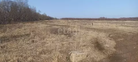 Участок в Калужская область, Малоярославецкий район, Шумятино с/пос, ...