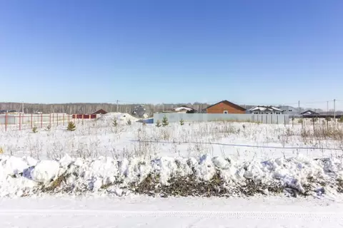 Участок в Тюменская область, Тюменский муниципальный округ, д. Елань, ...