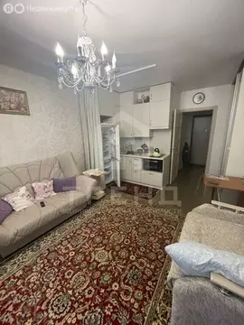 Квартира-студия: Санкт-Петербург, проспект Ветеранов, 171к5 (24 м)
