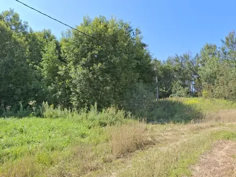 Участок в Московская область, Дмитровский муниципальный округ, д. ...