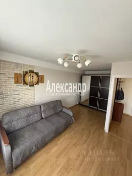 1-к кв. Санкт-Петербург Светлановский просп., 74К1 (32.0 м)