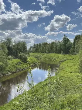 Участок в Московская область, Лотошино муниципальный округ, д. ...
