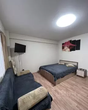 Студия Иркутская область, Иркутск ул. Пискунова, 148/3 (30.0 м)