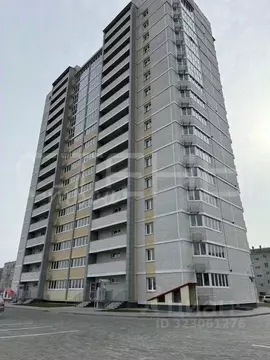 1-к кв. Амурская область, Благовещенский район, с. Чигири ул. ...