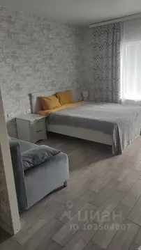 Студия Крым, Черноморский район, Оленевское с/пос, с. Оленевка ул. ...