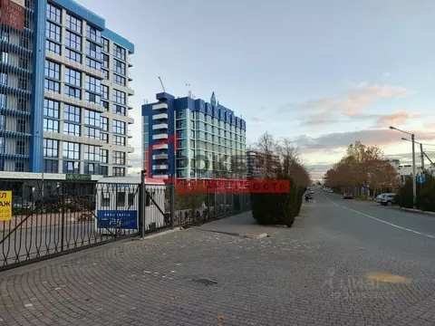 Помещение свободного назначения в Севастополь ул. Парковая, 15 (29 м)