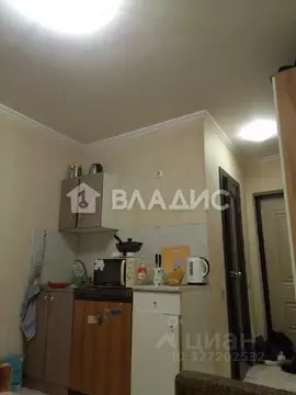 Студия Московская область, Щелково городской округ, пос. ...