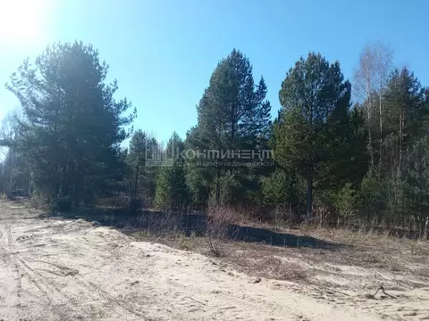 Участок в Владимирская область, Ковровский район, Новосельское с/пос, ...