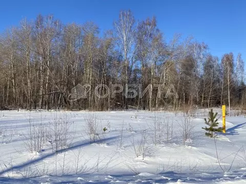 Участок в Тюменская область, Тюменский район, д. Якуши пер. Мичурина ...