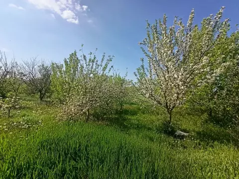 Участок в Краснодарский край, Анапа муниципальный округ, Гостагаевская ...