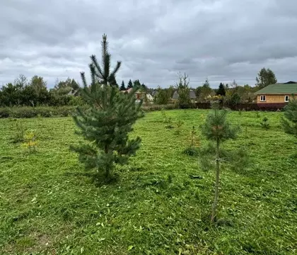 Участок в Московская область, Солнечногорск городской округ, д. ...