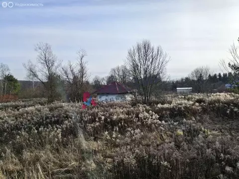 Участок в Тульская область, Венёвский муниципальный округ, деревня ...