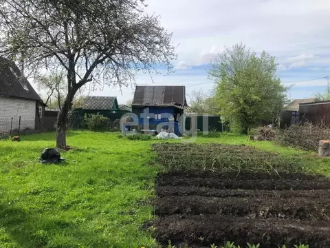 Дом в Брянская область, Брянский район, Супоневское с/пос, Рассвет СДТ ...