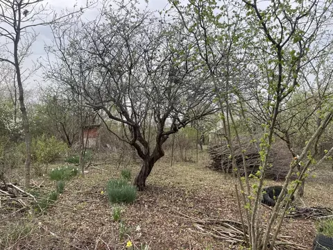 Участок в Адыгея, Майкоп Строитель СНТ, ул. Грушовая (5.0 сот.)