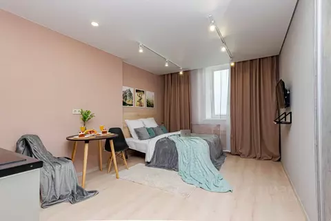 Студия Пермский край, Пермь ул. Куйбышева, 109А (27.0 м)