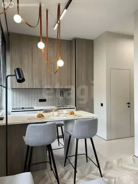 2-комнатная квартира: Санкт-Петербург, Благодатная улица, 50 (45.4 м)