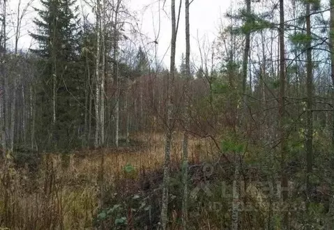 Участок в Архангельская область, Приморский муниципальный округ, д. ...
