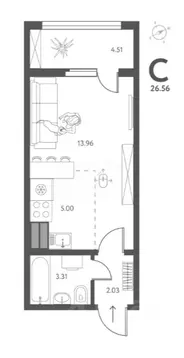 Студия Липецкая область, Липецк ул. Перова (26.56 м)