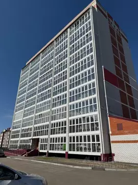 Студия Амурская область, Благовещенский район, с. Чигири ул. ...