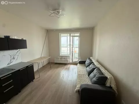 Квартира-студия: Санкт-Петербург, Русановская улица, 24 (21.6 м)