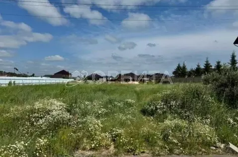 Участок в Тюменская область, Тюменский район, с. Перевалово ул. ...