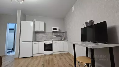 Студия Башкортостан, Уфа ул. Асхата Мирзагитова, 8 (27.5 м)