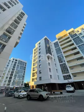 Студия Белгородская область, Белгород ул. Попова, 31 (30.6 м)