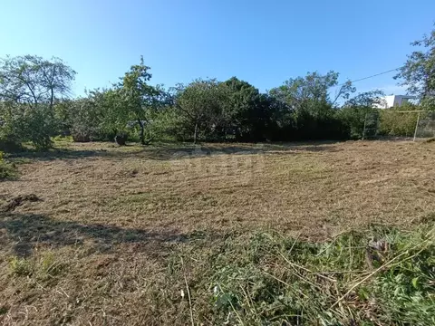 Участок в Санкт-Петербург Дачное Балтийского завода СНТ, 3-я линия, 2 ...