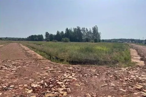 Участок в Новгородская область, Новгородский район, Савинское с/пос, ...